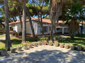 Chalet en La Barrosa